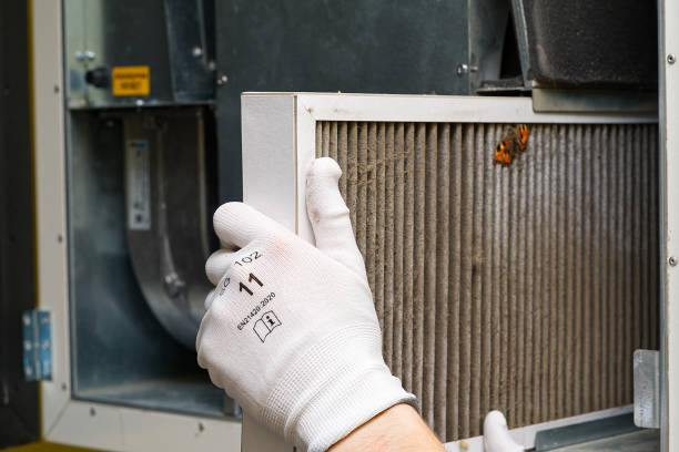 Best Affordable Duct Cleaning Services  in College Park, GA