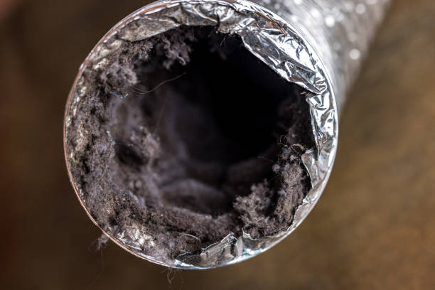 Best HVAC Maintenance and Cleaning  in College Park, GA